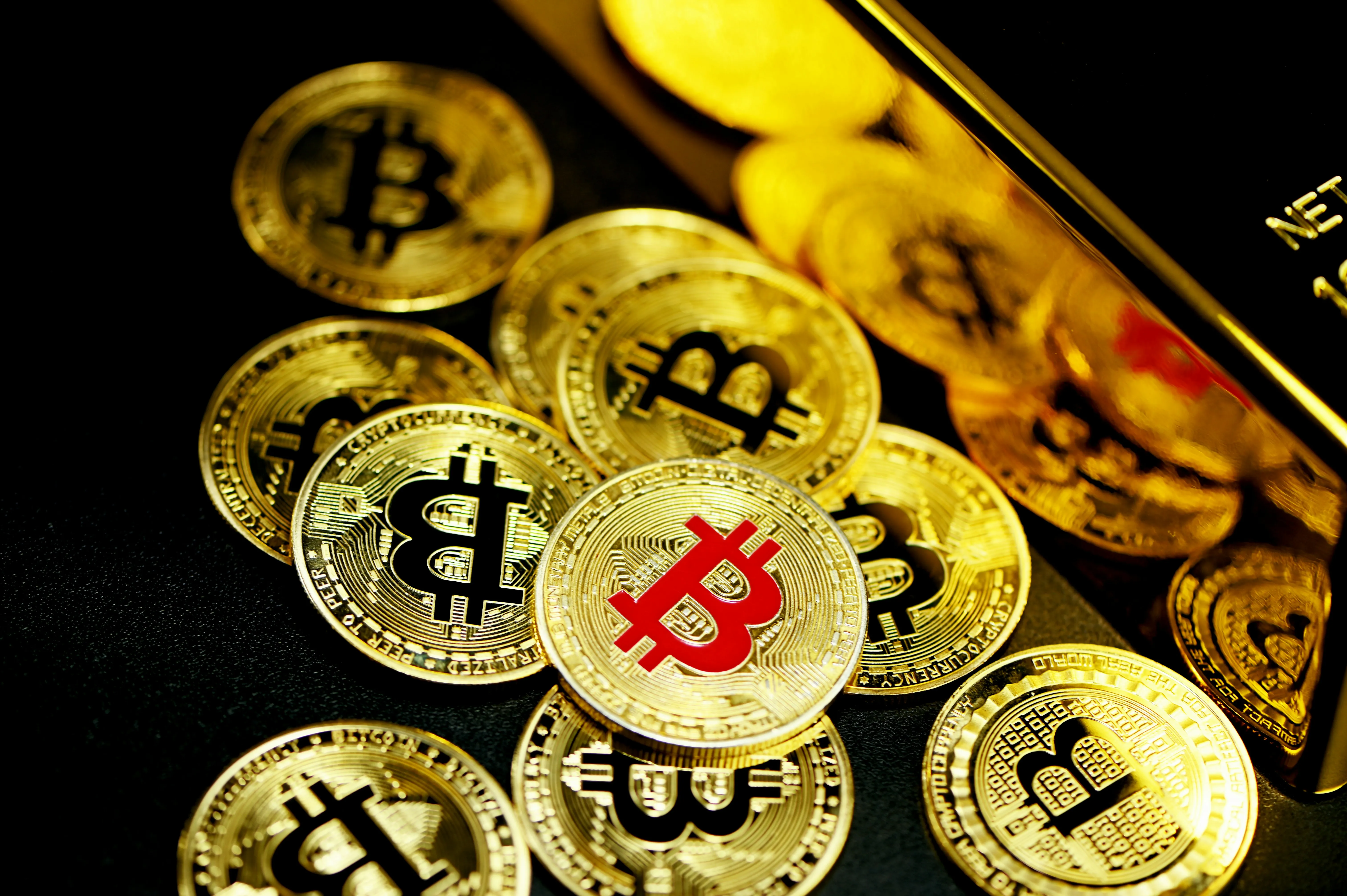 Sân đấu đá gà kịch tính tại C54