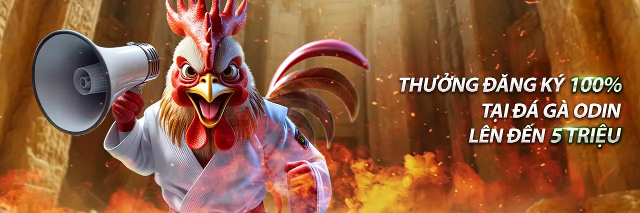 Mẹo chơi đá gà hiệu quả C54